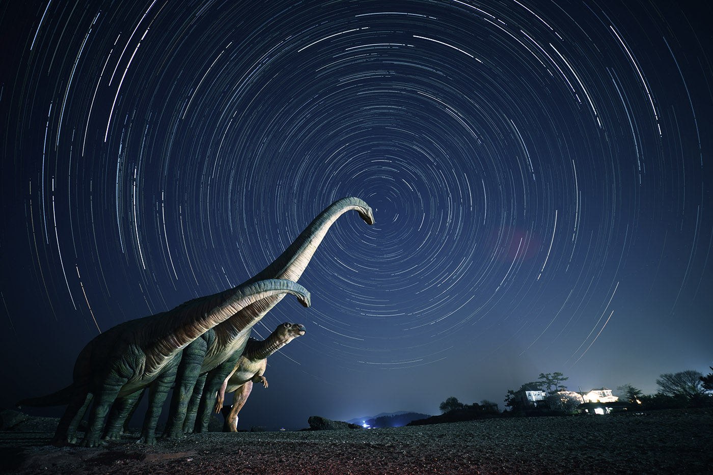 공룡의 별밤.jpg