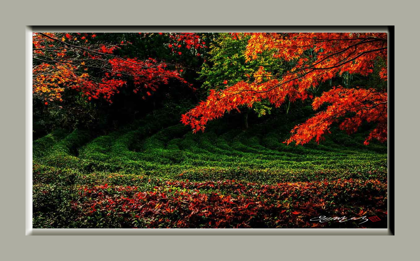 가을수채화.jpg